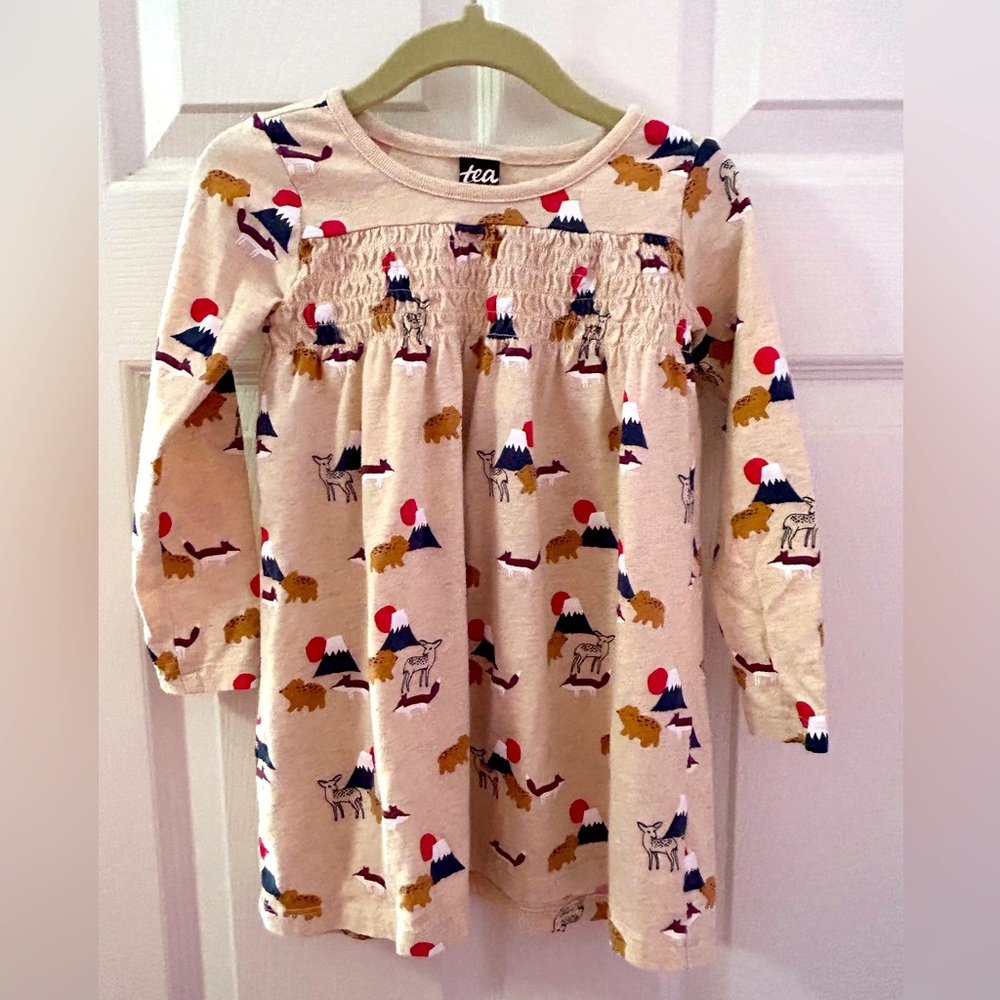 Tea Tunic/Dress Fuji (18-24 months)